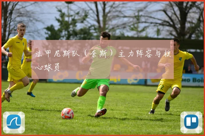 法甲尼斯队（奈斯）主力阵容与核心球员
