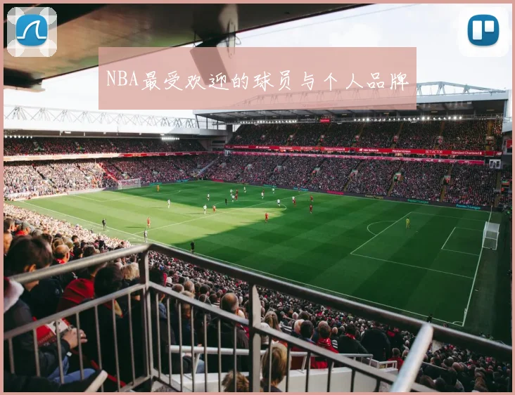 NBA最受欢迎的球员与个人品牌