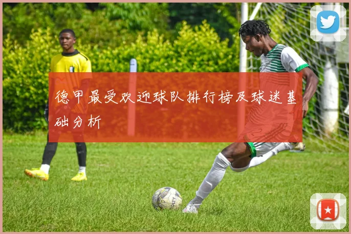 德甲最受欢迎球队排行榜及球迷基础分析