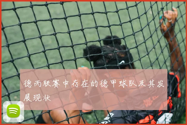 德丙联赛中存在的德甲球队及其发展现状